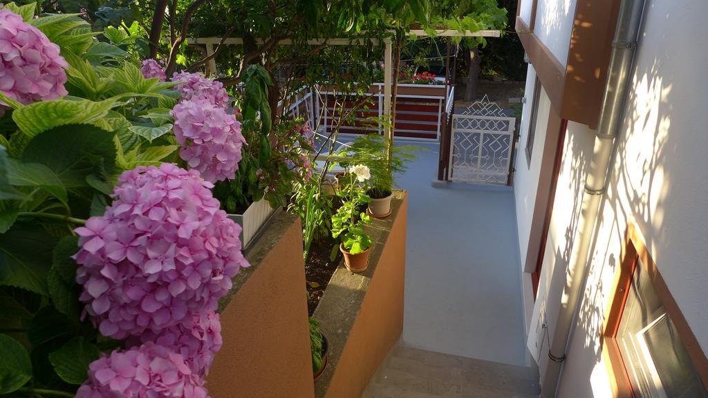 Hvar Island 库茨玛尼奇旅馆酒店 外观 照片